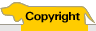 Copyright